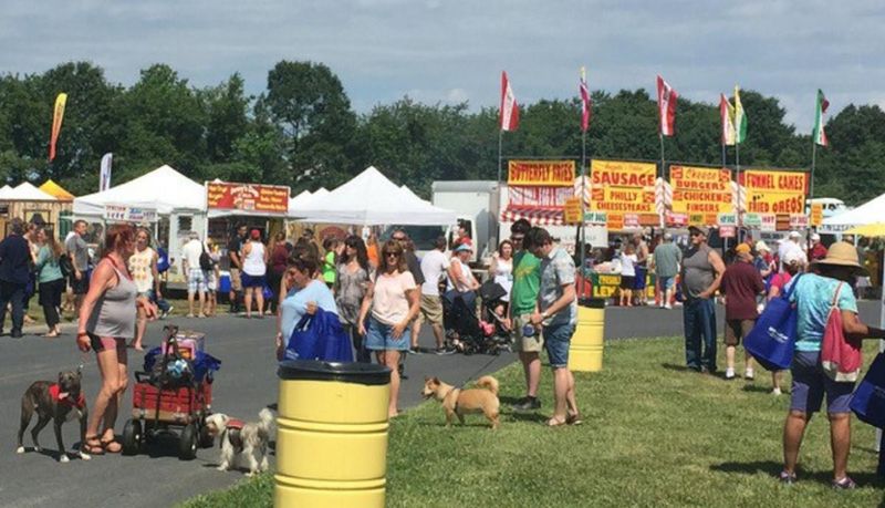 Come One, Come All: Festival Accessibility For Everyone