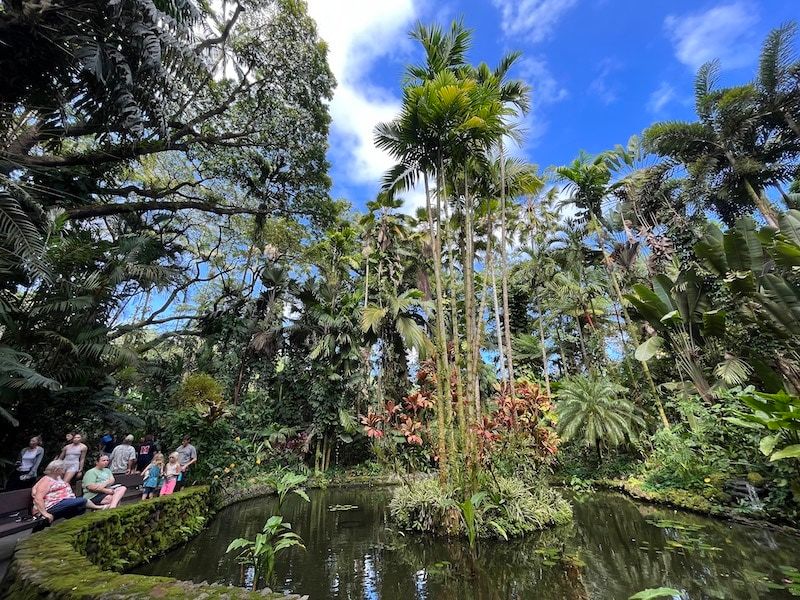 Wander Through Paradise at Hawaii Tropical Bioreserve