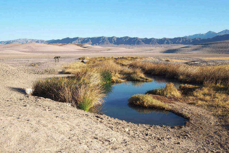 Tecopa Mud Hot Springs