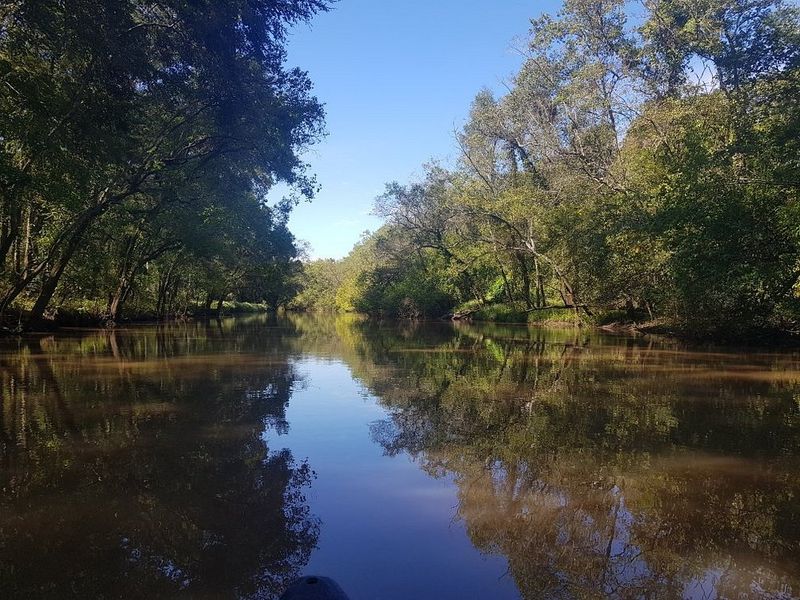 Teche Country and River Road Ruins Await Exploration