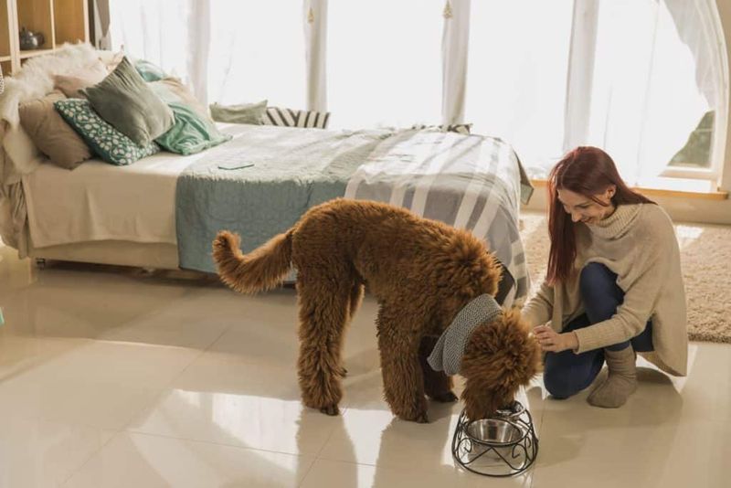 Maintain Familiar Routines and Stay Calm
