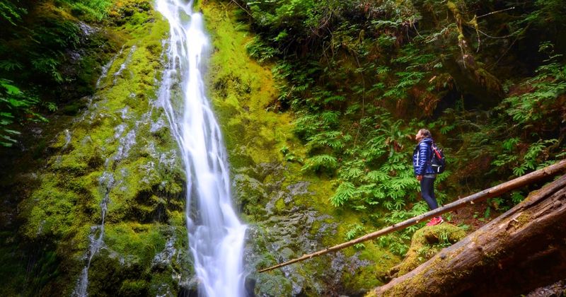 Madison Falls Picnic Spot (Marymere Falls area)