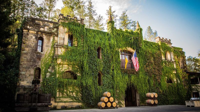 Château Montelena: Paris Tasting Champion