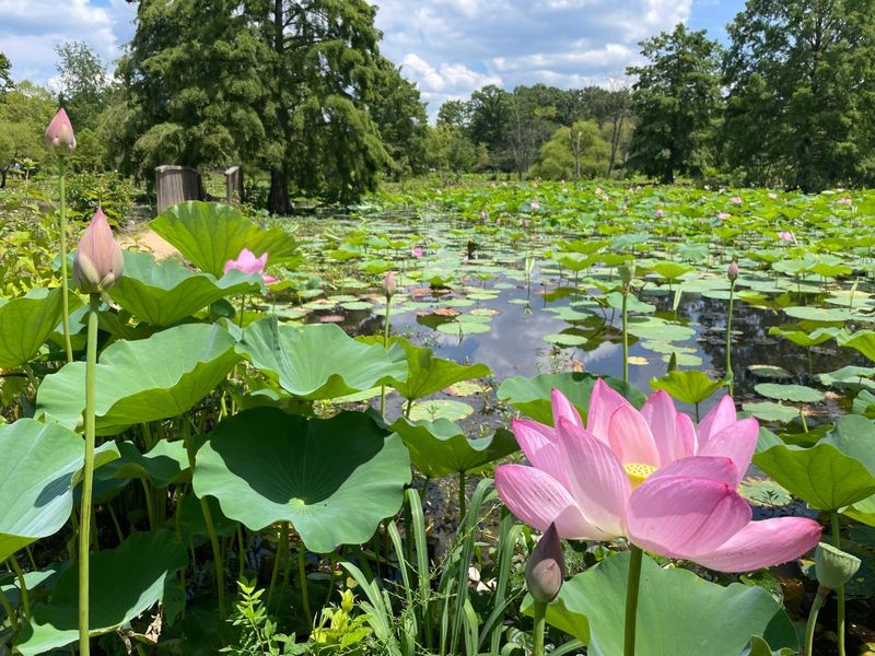 Kenilworth Park & Aquatic Gardens