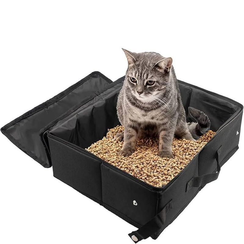 The Litter Box Dilemma