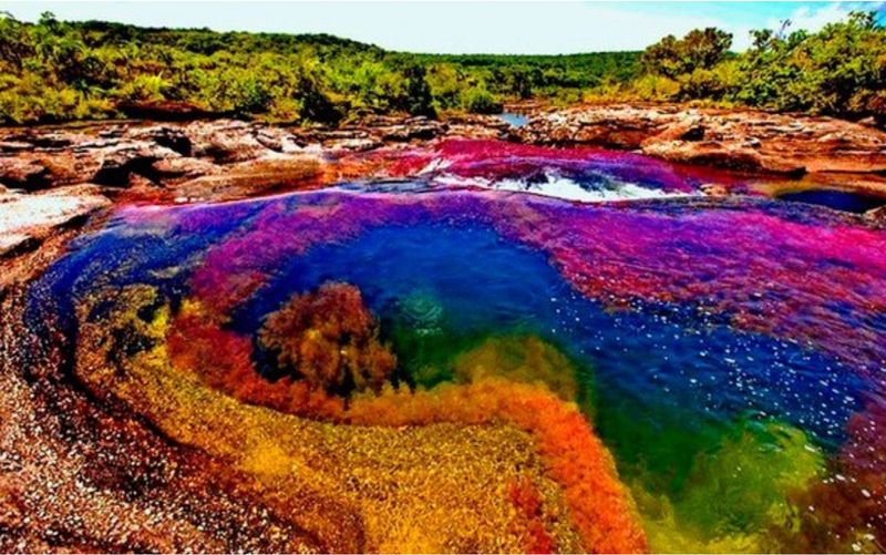 Caño Cristales, Colombia