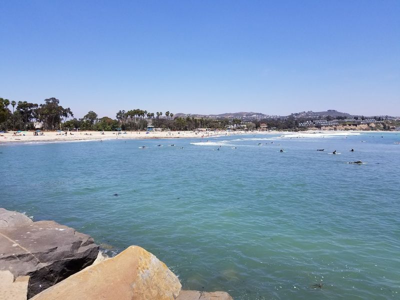 Doheny State Beach - Shallow Water Sanctuary