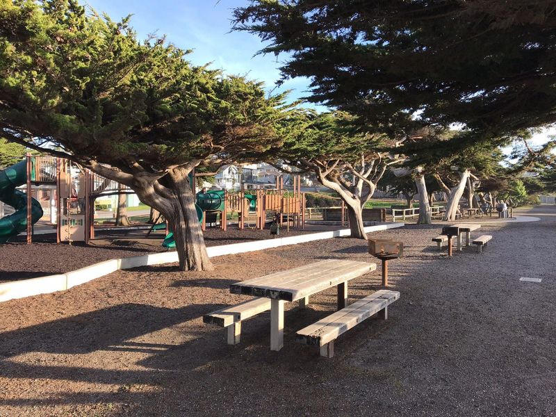 Shamel Park