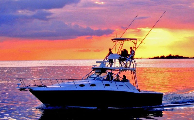 Witness Spectacular Gulf Coast Sunsets on Evening Cruises
