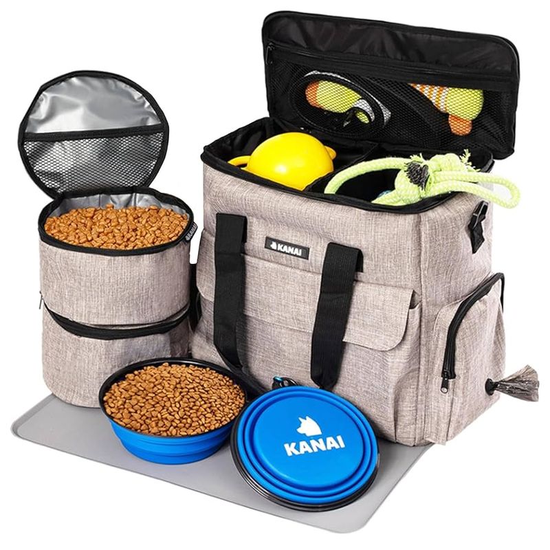 Create a Comprehensive Pet Travel Kit