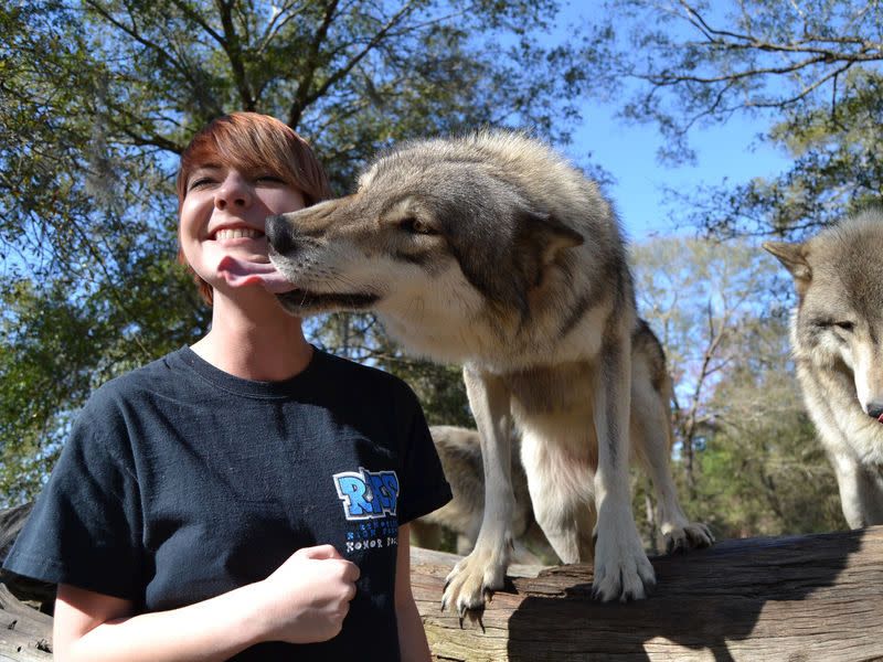 The Seacrest Wolf Preserve