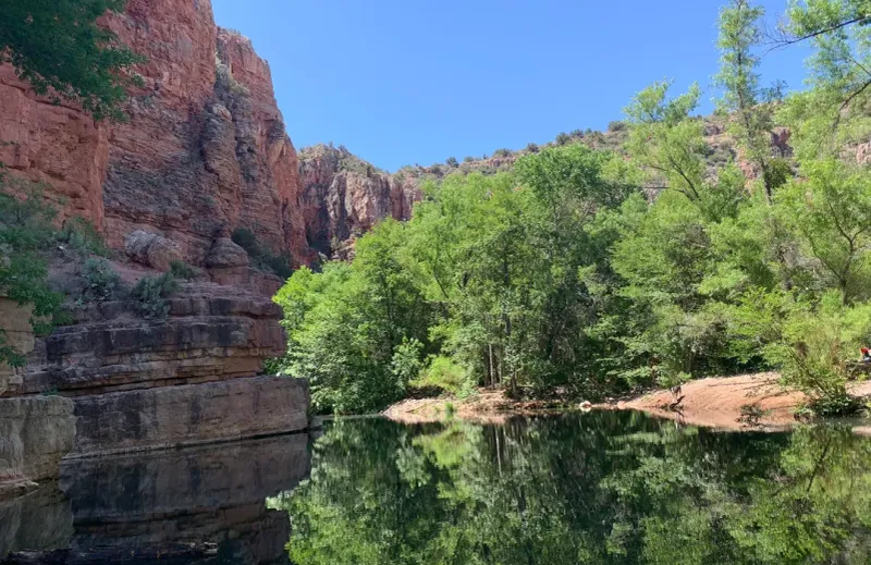 Wild and Wilderness-Protected