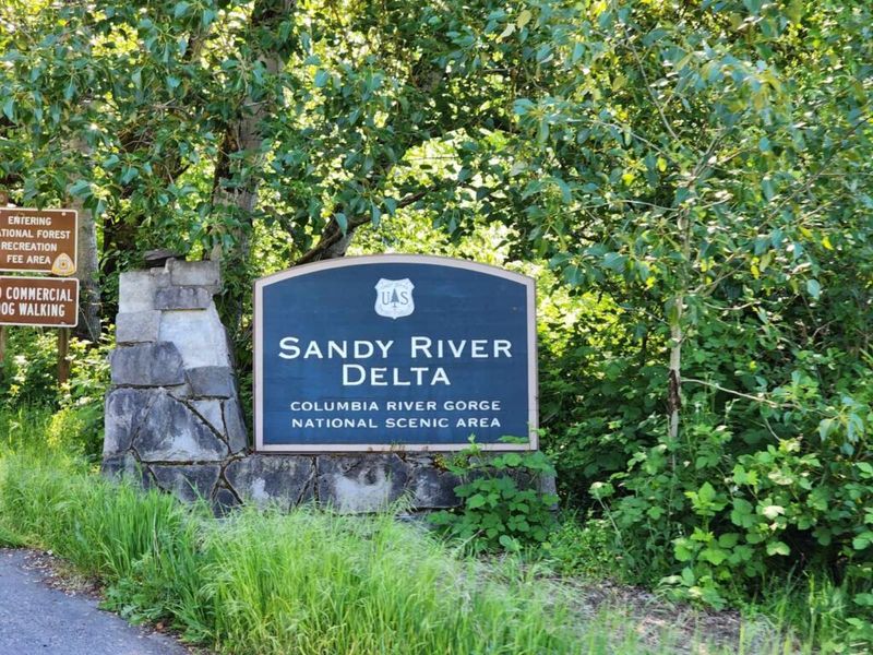 Thousand Acres (Sandy River Delta) – Open (massive off-leash trails)