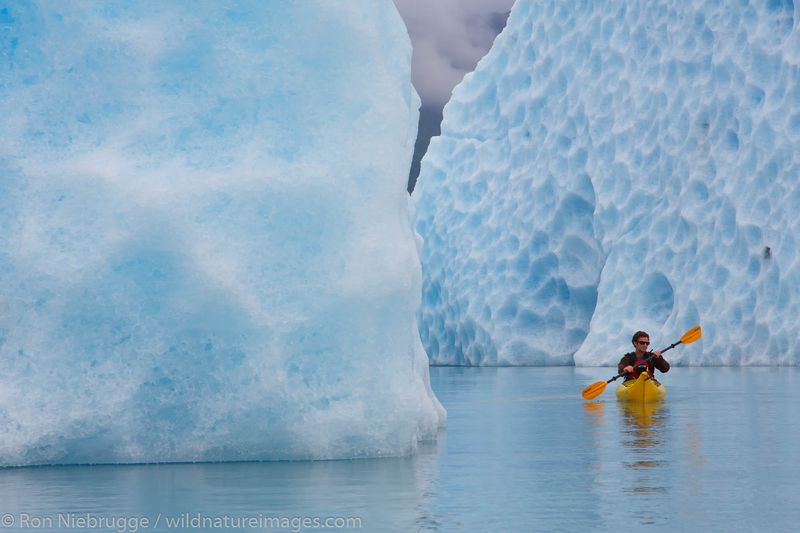 Bear Glacier Lagoon: Nature's Iceberg Playground