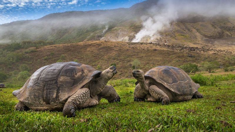 Galápagos: Darwin's Laboratory Under Modern Siege