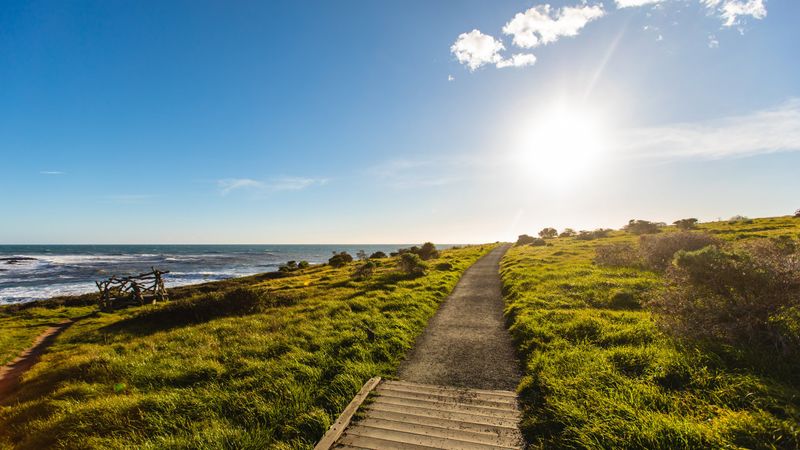 Fiscalini Ranch Preserve Bluff Trail