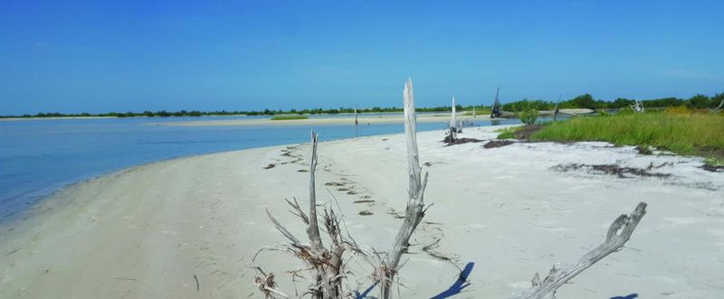 Anclote Key Preserve State Park — Tarpon Springs, FL