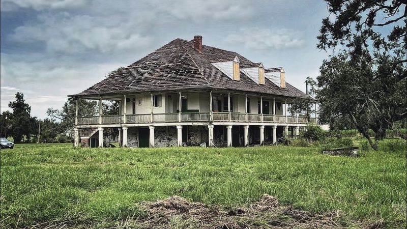 Coastal Plantations Slowly Disappearing into Wilderness