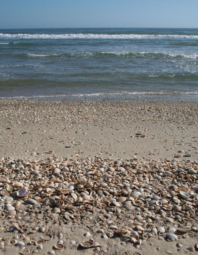 Big Shell & Little Shell — Padre Island National Seashore, Texas