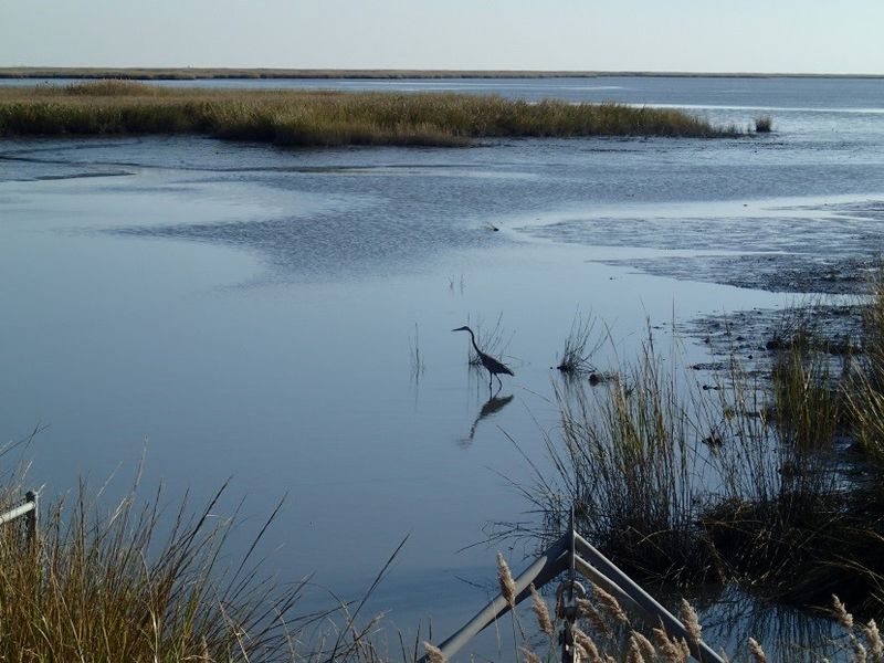 Explore Natural Wildlife Sanctuaries