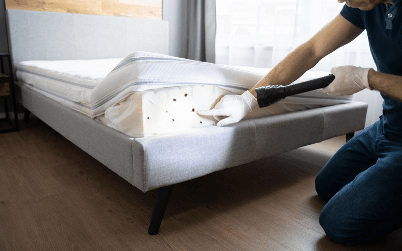 Quick Bed Bug Check Before You Unpack
