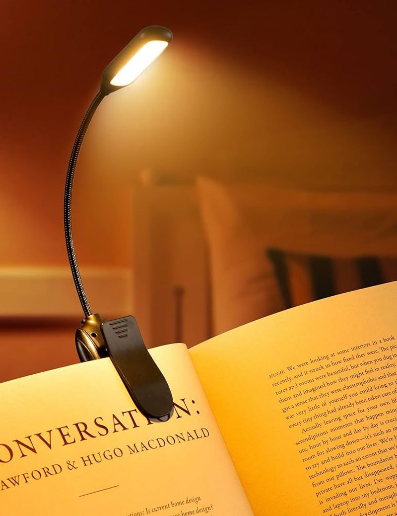 E-Reader Clip-On Reading Light (50g)