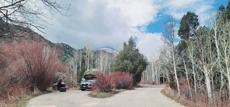 Lehman Lower Creek Campground, Nevada