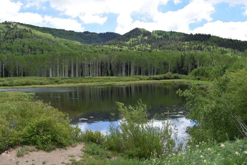 Willow Lake (Big Cottonwood)