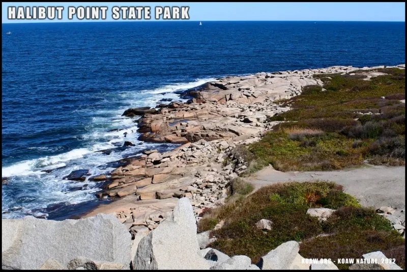 Halibut Point State Park, Rockport