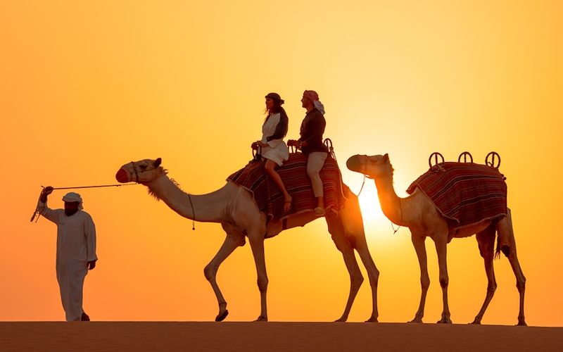 Ride a Camel on a Private Desert Safari