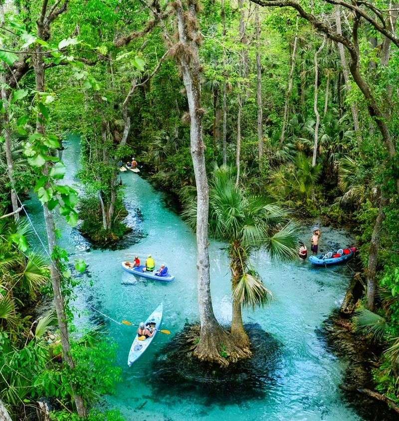 Kayak the Emerald Cut at Rock Springs Run (Apopka)