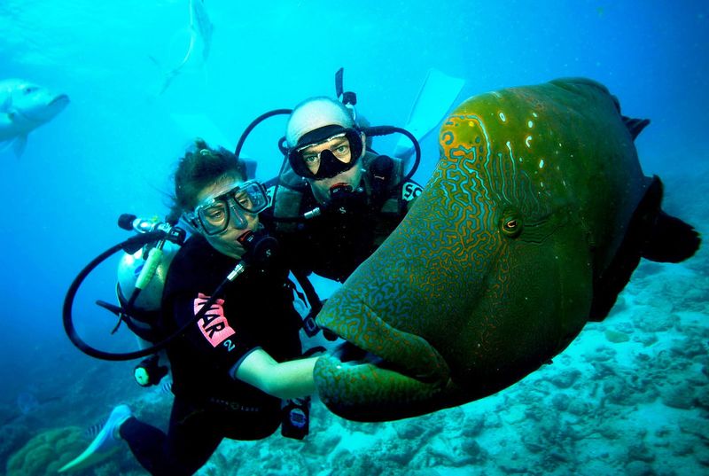 Dive Australia's Great Barrier Reef