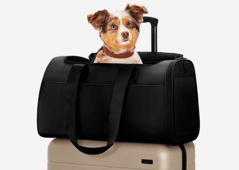 Away’s The Pet Carrier