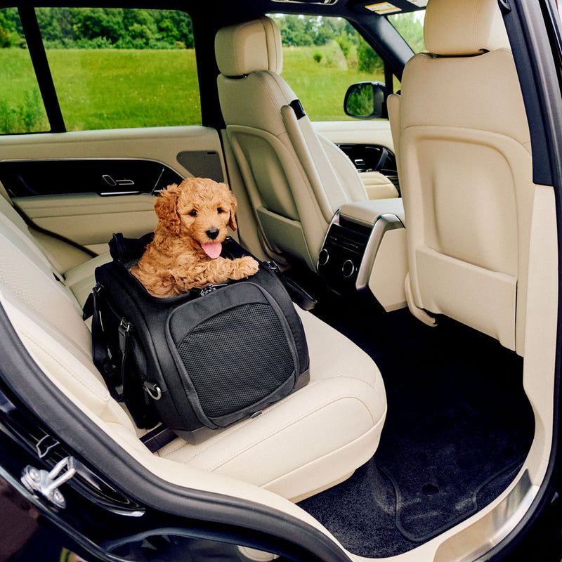 Tavo Dupree Carry-On Pet Car Seat – Top Airline-Approved Choice