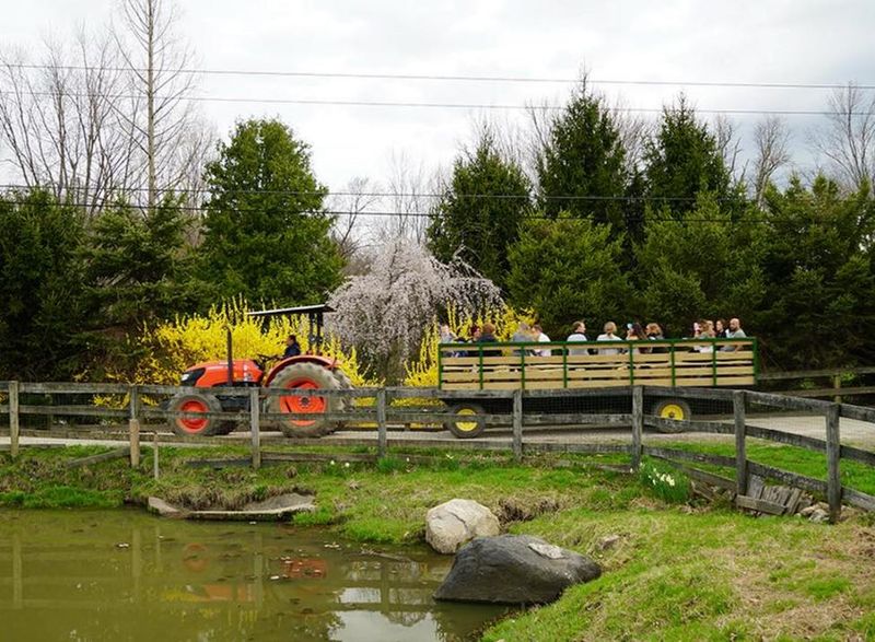 Harvest Moon Farm & Orchard — North Salem (Westchester)
