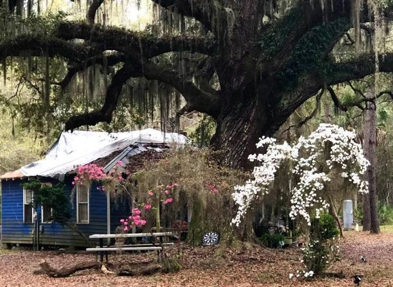Daufuskie Island