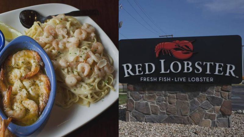 Endless Shrimp – The Original Version