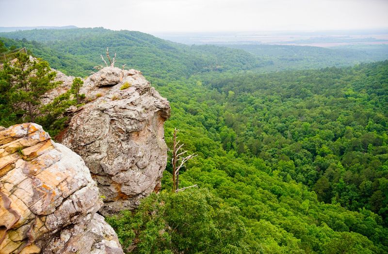 Explore Your Gateway to Ozark Adventures