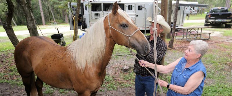 Experience Unique Equestrian Water Trails