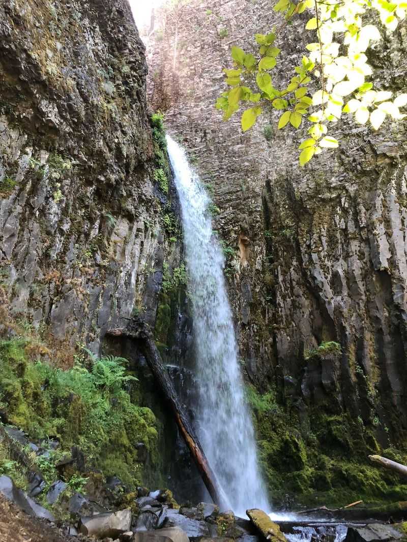 Dry Creek Falls — Cascade Locks (Gorge)