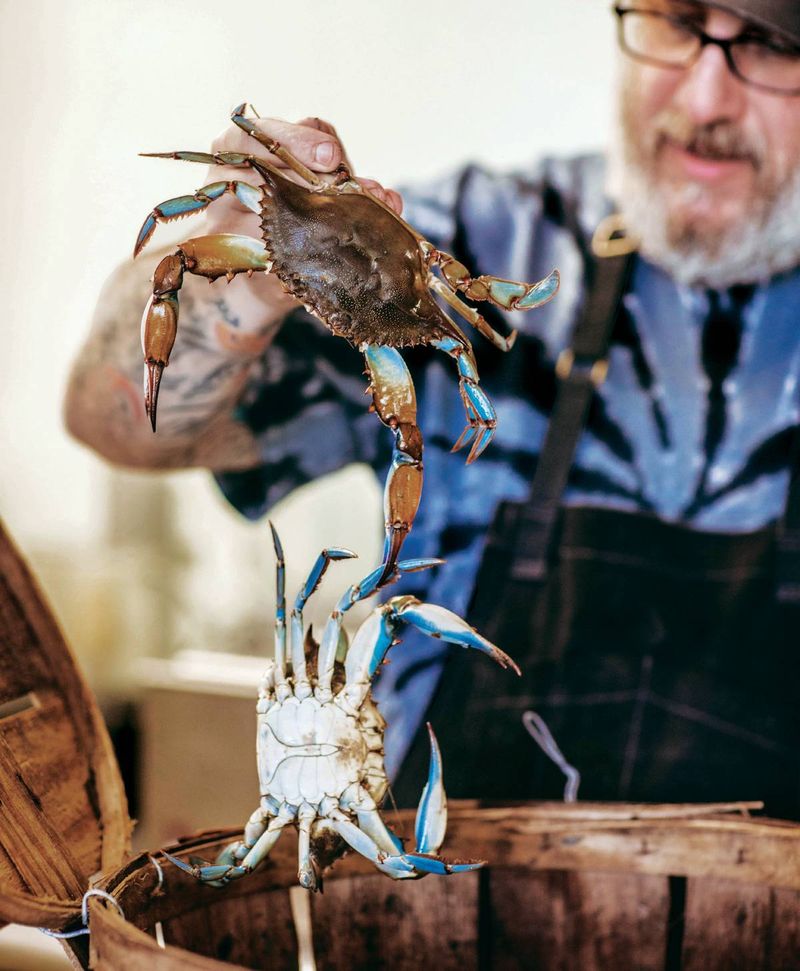Savor Unexpected Culinary Adventures