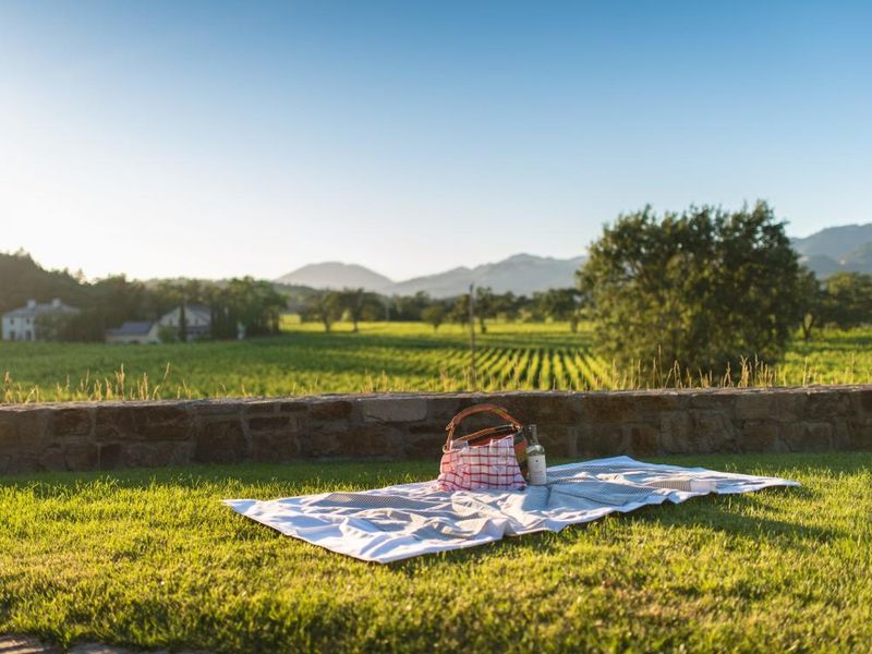 Napa Cellars: Relaxed Picnic Paradise