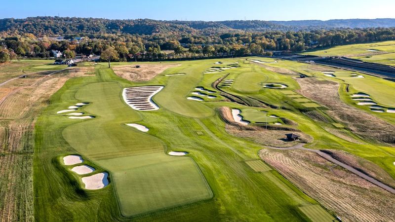 Massive Tree Removal Project Restores Links Character