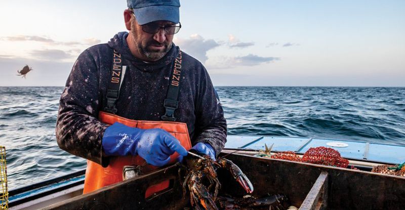A Working Harbor Rooted in Tradition