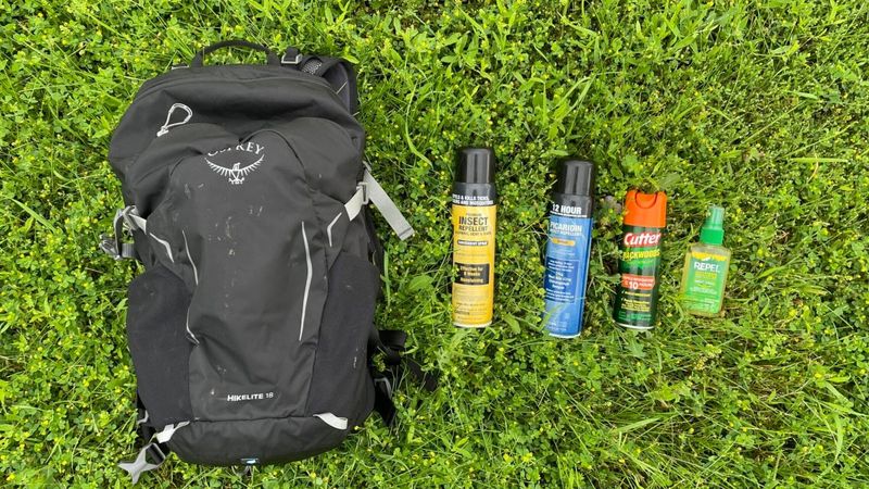 Bug defense and tick checks
