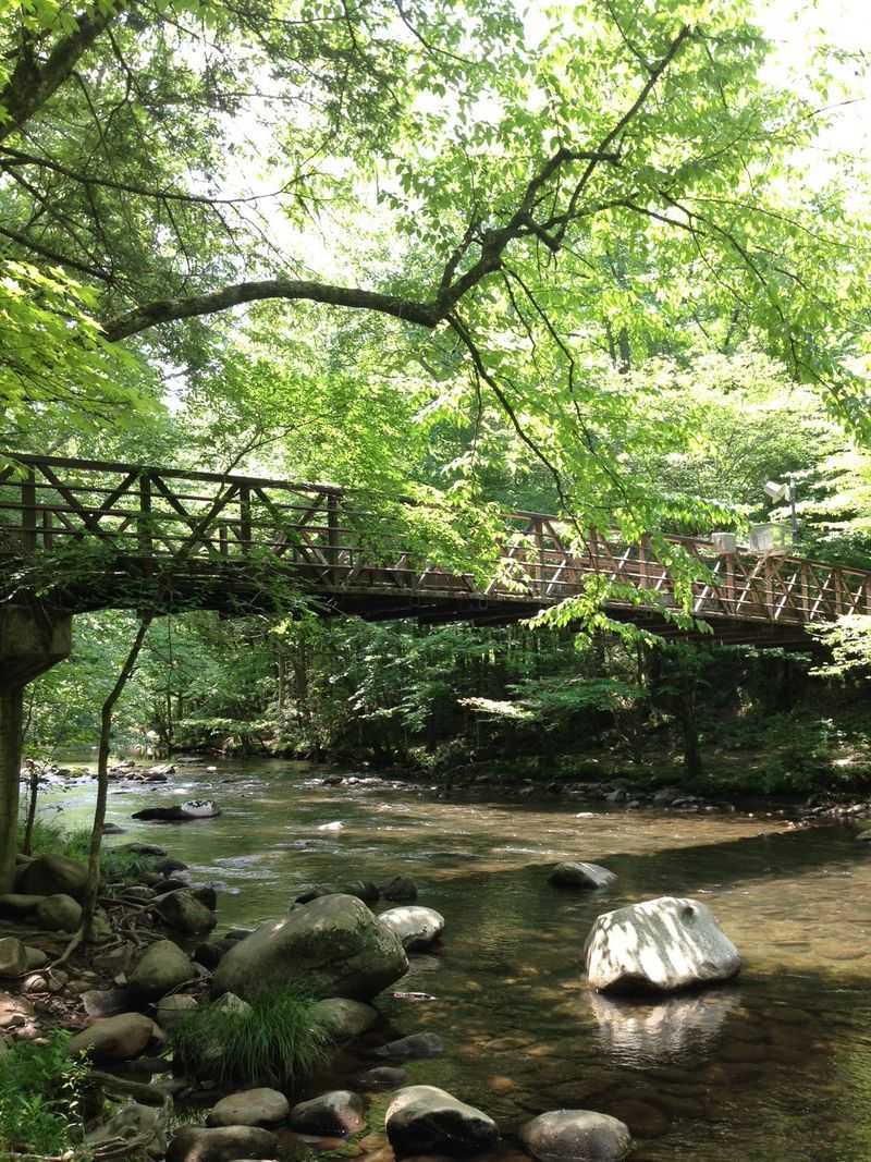 Gatlinburg Trail