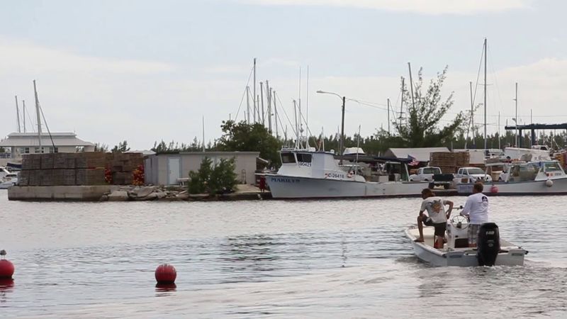 Stock Island – Key West's Neighbor