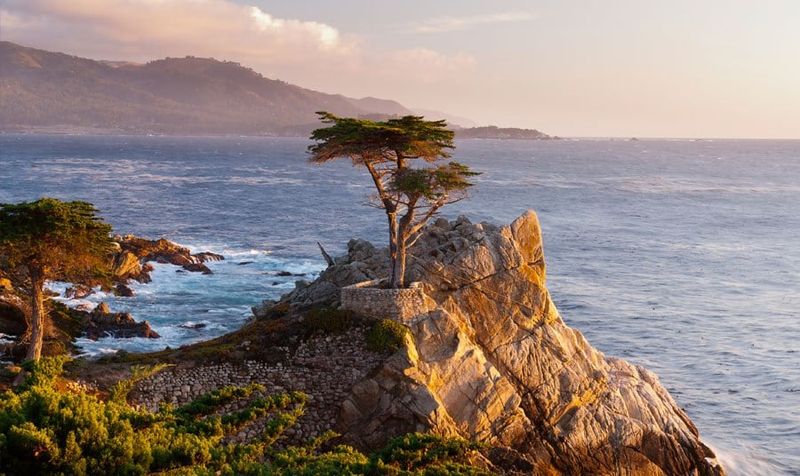 Cruise 17-Mile Drive, Pebble Beach