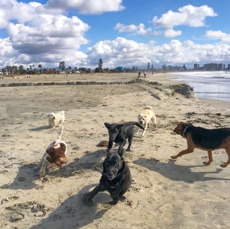 Coronado's Dog Beach (North of Coronado Beach)