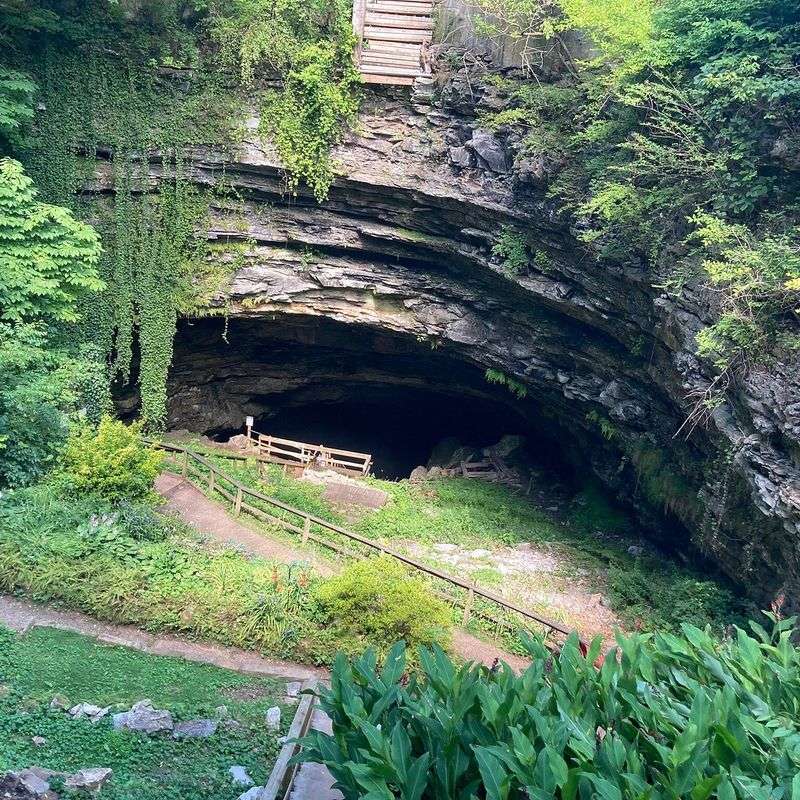 American Cave Museum's Living Laboratory
